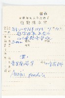 垂果南芥菜藏品圖，第2張