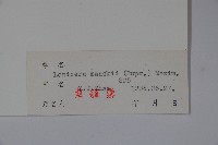 金銀忍冬藏品圖，第2張