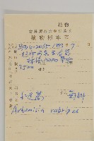 紅足蒿藏品圖，第2張