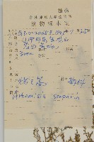 黃蒿藏品圖，第2張