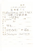 羽苞鳳毛菊藏品圖，第2張