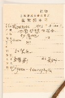 鰭薊藏品圖，第2張