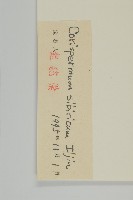 西伯利亞蟲實藏品圖，第3張