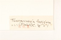 女菀藏品圖，第3張