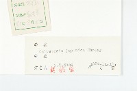 日本打碗花藏品圖，第3張