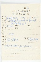 圓葉牽牛藏品圖，第2張