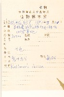 裂葉馬蘭藏品圖，第2張