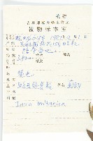 歐亞旋覆花藏品圖，第2張