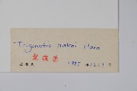 森林附地菜藏品圖，第2張