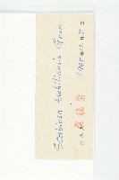 華北藍盆花藏品圖，第3張