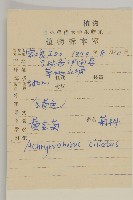 貓兒菊藏品圖，第2張