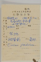 煙管草藏品圖，第2張