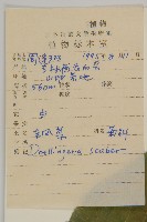 東風菜藏品圖，第2張