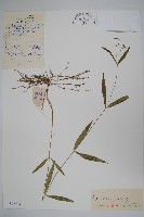 登錄號:S027945藏品圖，第1張