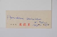 登錄號:S027945藏品圖，第2張