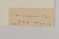 絨背薊藏品圖，第3張