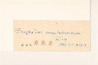 東北鼠麴草藏品圖，第3張