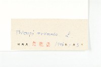 凹果菥蓂、遏藍菜藏品圖，第3張