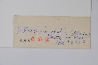 鮮黃連藏品圖，第2張