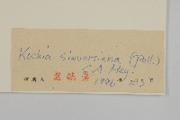 登錄號:S028052藏品圖，第3張