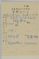 銀線草藏品圖，第2張