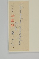 狹葉藜藏品圖，第3張