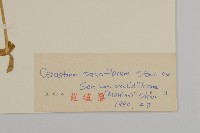 寄奴花藏品圖，第3張