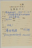 蔓假繁縷藏品圖，第2張