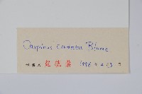 千金榆藏品圖，第2張