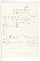 燥原薺藏品圖，第2張