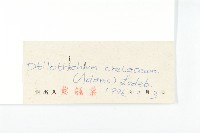 燥原薺藏品圖，第3張