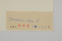 藜、灰藜藏品圖，第3張