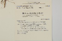 玉山抱莖籟簫藏品圖，第2張