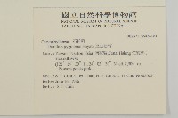 玉山石竹藏品圖，第2張