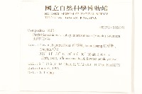 玉山毛蓮菜藏品圖，第2張