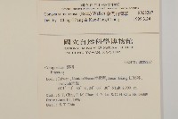 野茼蒿藏品圖，第2張