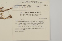 玉山抱莖籟簫藏品圖，第2張