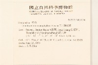 玉山薄雪草藏品圖，第2張