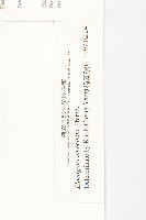 小葉胡頹子藏品圖，第3張