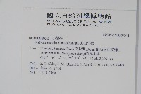 玉山小蘗藏品圖，第2張