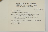 刺果衛矛藏品圖，第2張