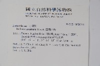 臺灣小蘗藏品圖，第2張