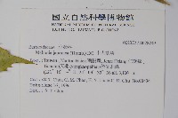 十大功勞藏品圖，第2張