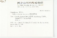 能高佛甲草藏品圖，第2張