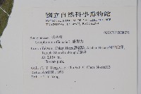 康復力藏品圖，第2張