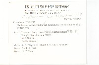 台灣碎米薺藏品圖，第2張