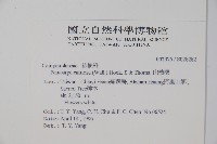 山桔梗藏品圖，第2張
