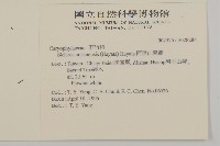 阿里山繁縷藏品圖，第2張