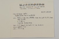 瓜槌草、漆姑草藏品圖，第2張