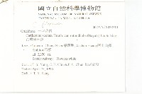台灣碎米薺藏品圖，第2張